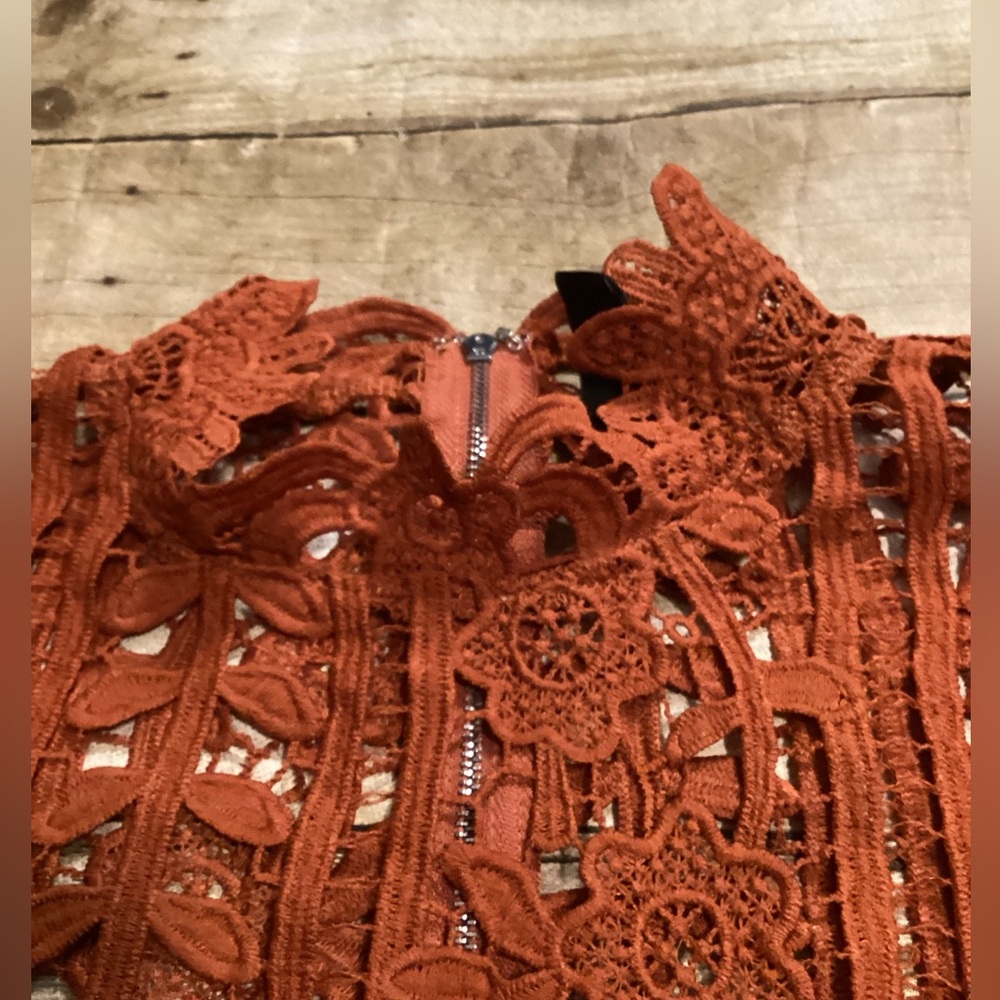 Windsor Rust Lace Crop Top Size M | Long Sleeve High Neck Boho Floral - Picture 3 of 4